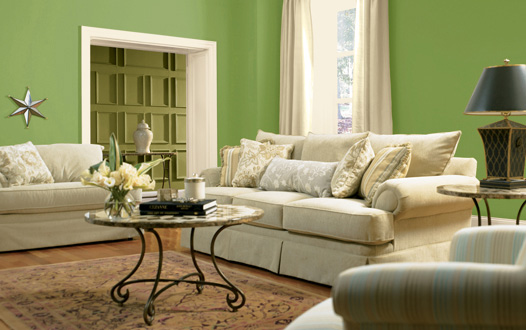 Green Color Paint Living Room Ideas