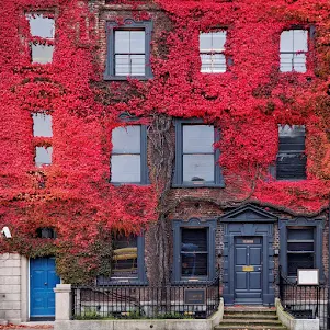 Doors of Dublin on St. Stephen's Green