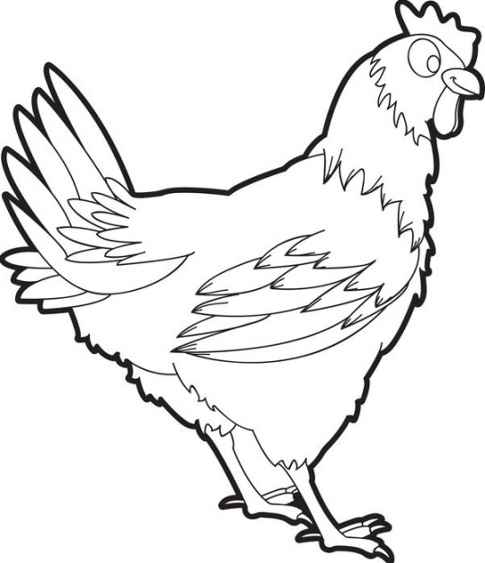 Gambar Mewarnai Ayam Terbaru Gambarcoloring