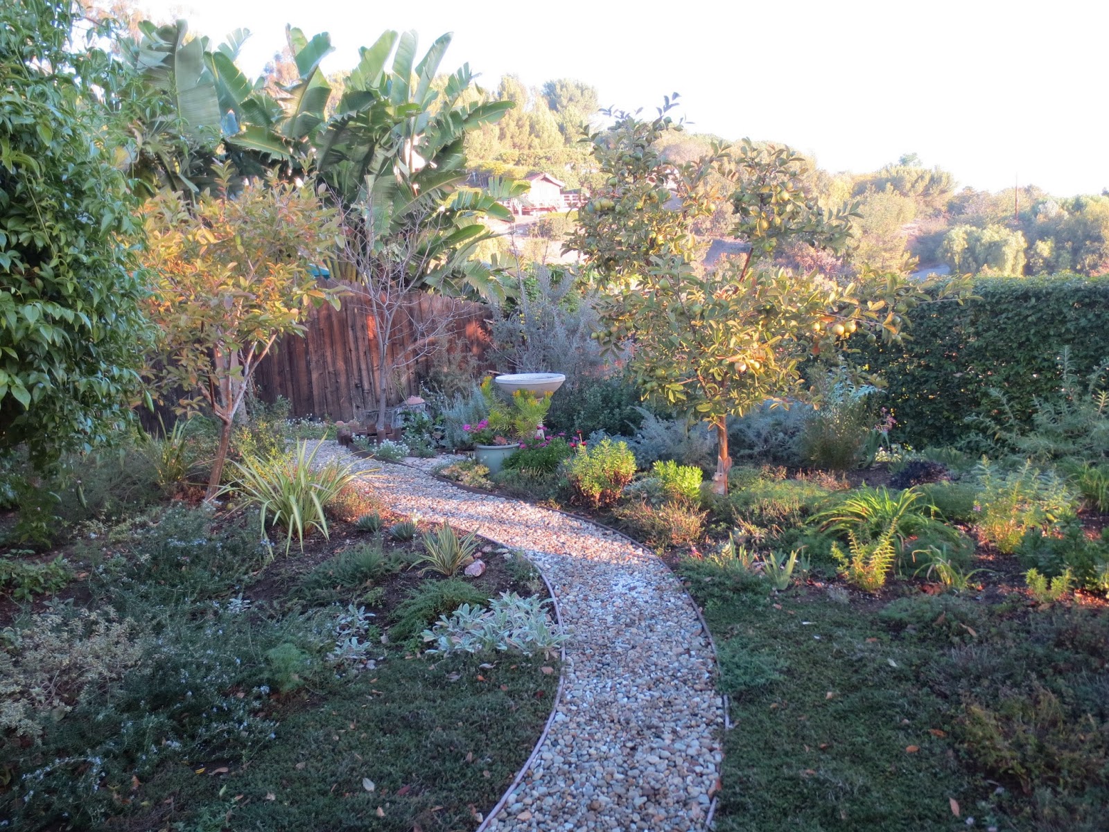 [99+] Driveway Border Shrubs Download Gratuit