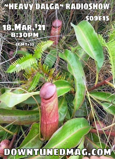 heavy dalga show #308, poster, penis plant