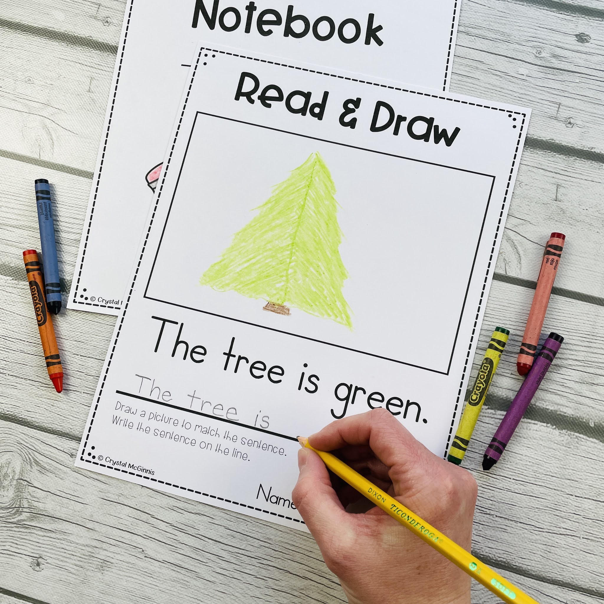Read and Draw Simple Sentences Notebook Mrs. McGinnis' Little Zizzers