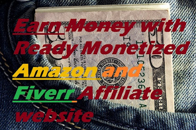 Stay at home and earn money online with this Fiverr affiliate and Amazon Associate monetized website