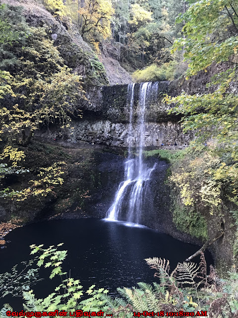 Lower North Falls Oregon 