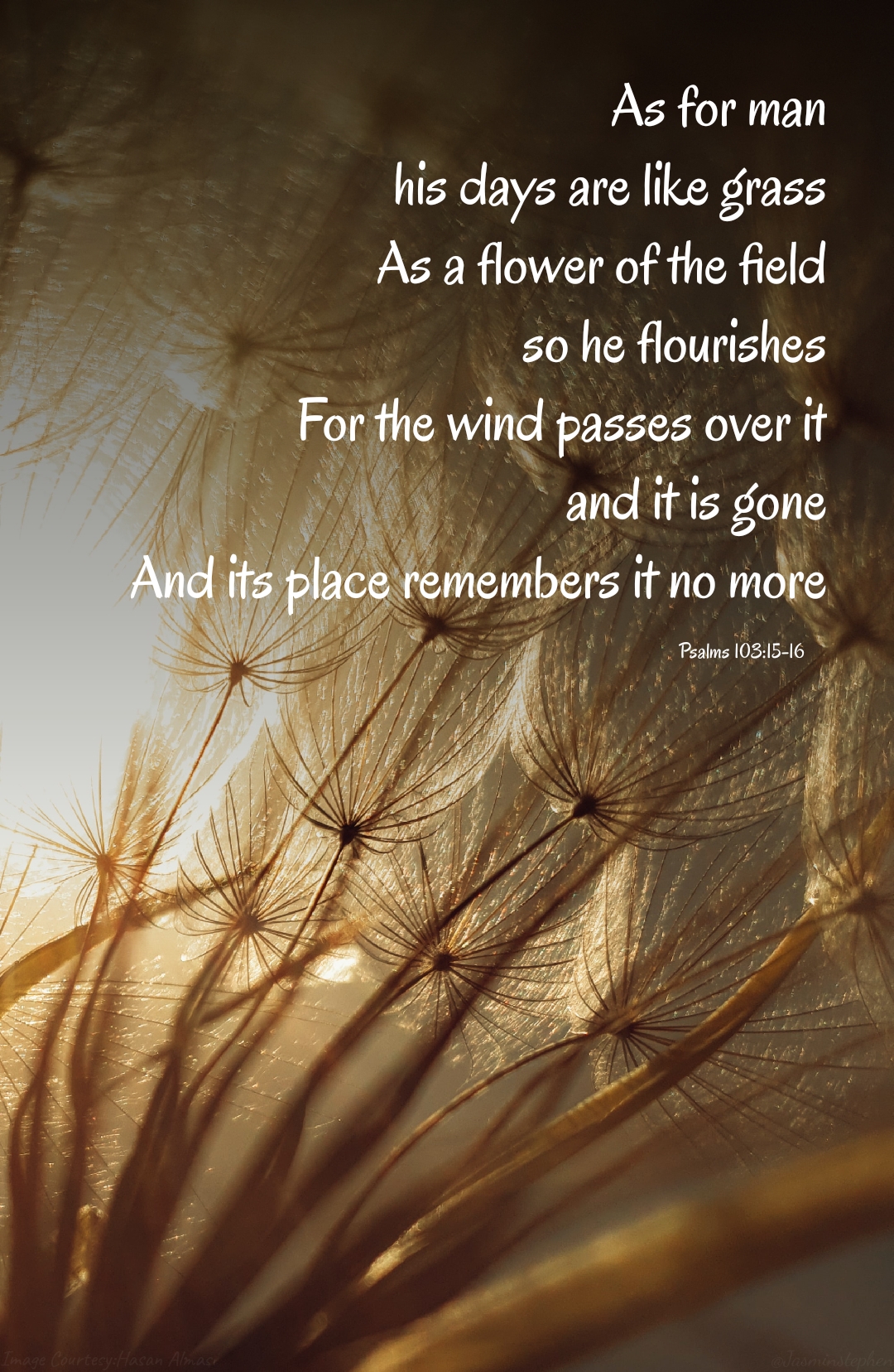 Psalms 103 15 16 psalms-103-15-16