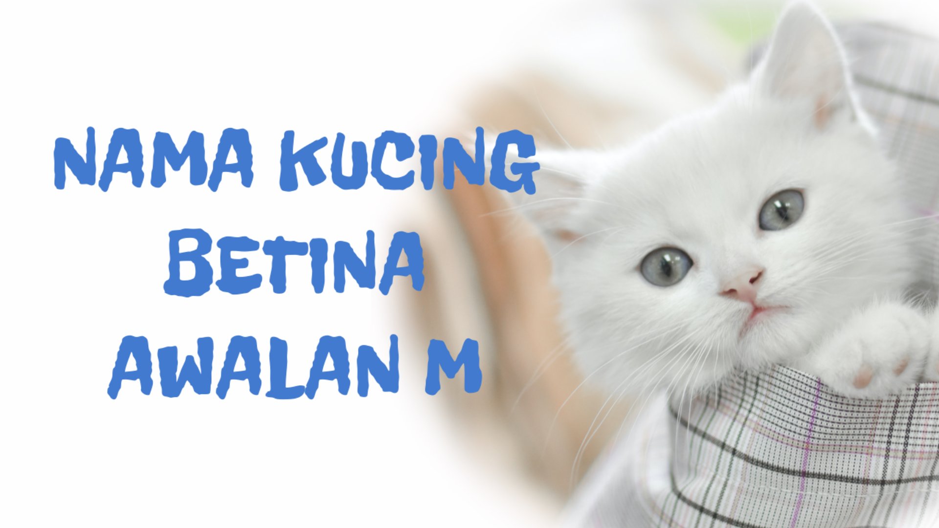 Nama kucing betina aesthetic