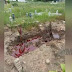 Viral Makam Baru Digenangi Cairan Mirip Darah, Polisi Sampai Turun Tangan Lakukan Investigasi