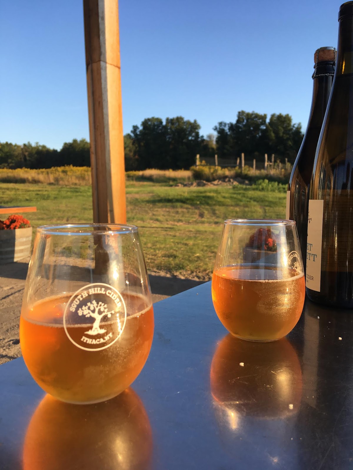 Along Came a Cider South Hill Cider's Tasting Room and Flight Plus FLX Cider Week!