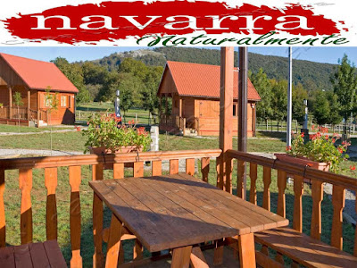 El Turismo Rural de Navarra es un sector de la economía navarra muy importante, tanto desde el punto de vista económico, como social y sectorial.  Esta segmento del turismo, permite por una parte, dinamizar la economía de los valles más rurales de Navarra.  Desde los años 90 cuando se empezaron a adaptar las  viviendas rurales, como alojamientos para los turistas, ha pasado mucho tiempo y a su vez también muchas cosas.  De las 487 Casas Rurales que había en el año 2003, hasta las 709 Casas Rurales de Navarra actuales, el aumento de estos alojamientos se ha incrementado  en un porcentaje del 68,69 %   www.casaruralurbasa.com