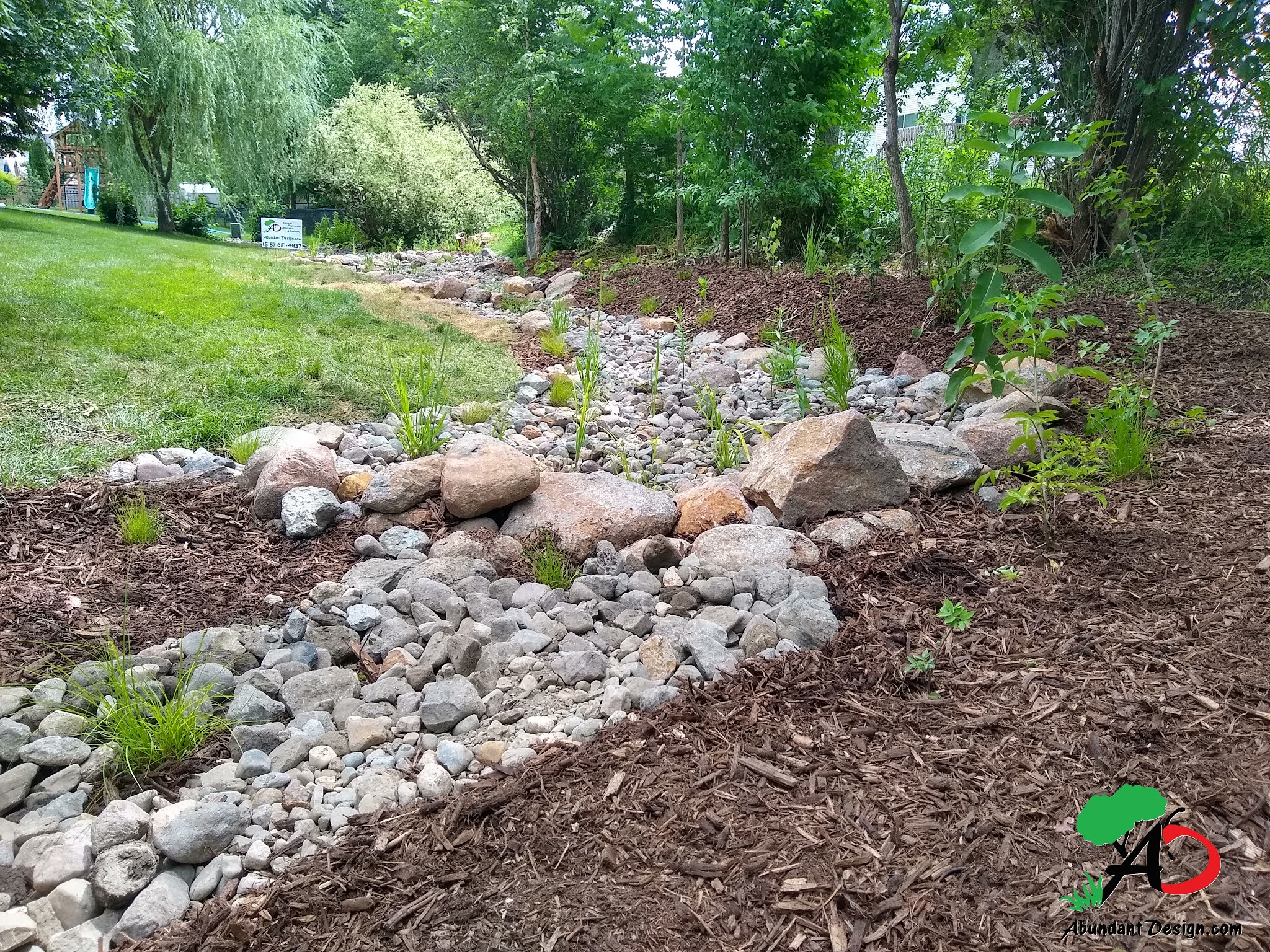 Abundant Design Drainage Easement Makeover, Naturally