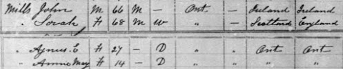 1891 census of Canada, Ontario, district 74, sub-district J, p. 40-41, family 187, household of John Mills; RG 31; digital images, Ancestry.com Operations, Inc., Ancestry.com (www.ancestry.com : accessed 22 Jul 2020); citing Library and Archives Canada microfilm T-6343.