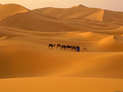 El Desierto más grande del mundo.