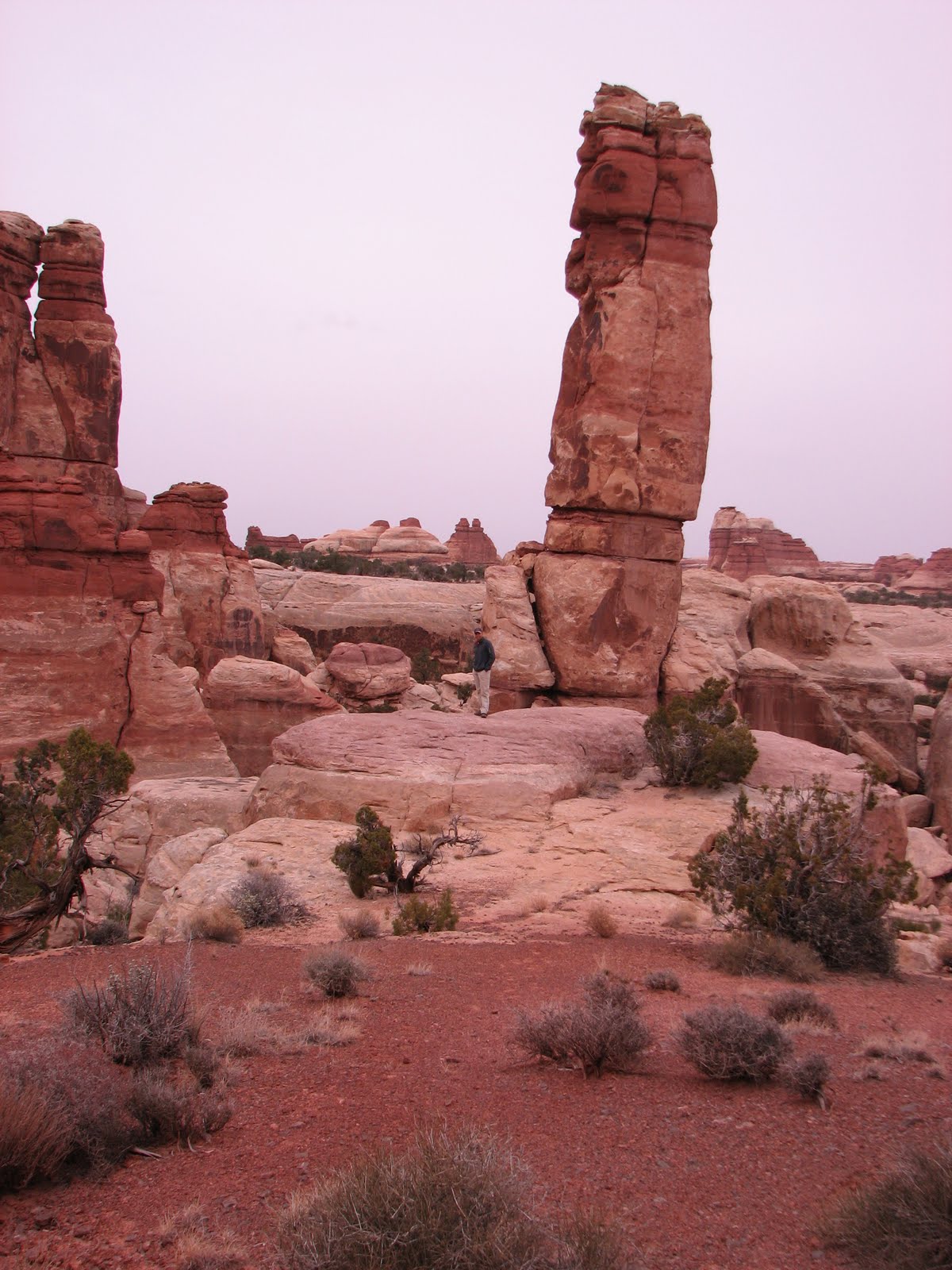 Scenic BiteWays The Patio DriveIn Blanding, UT