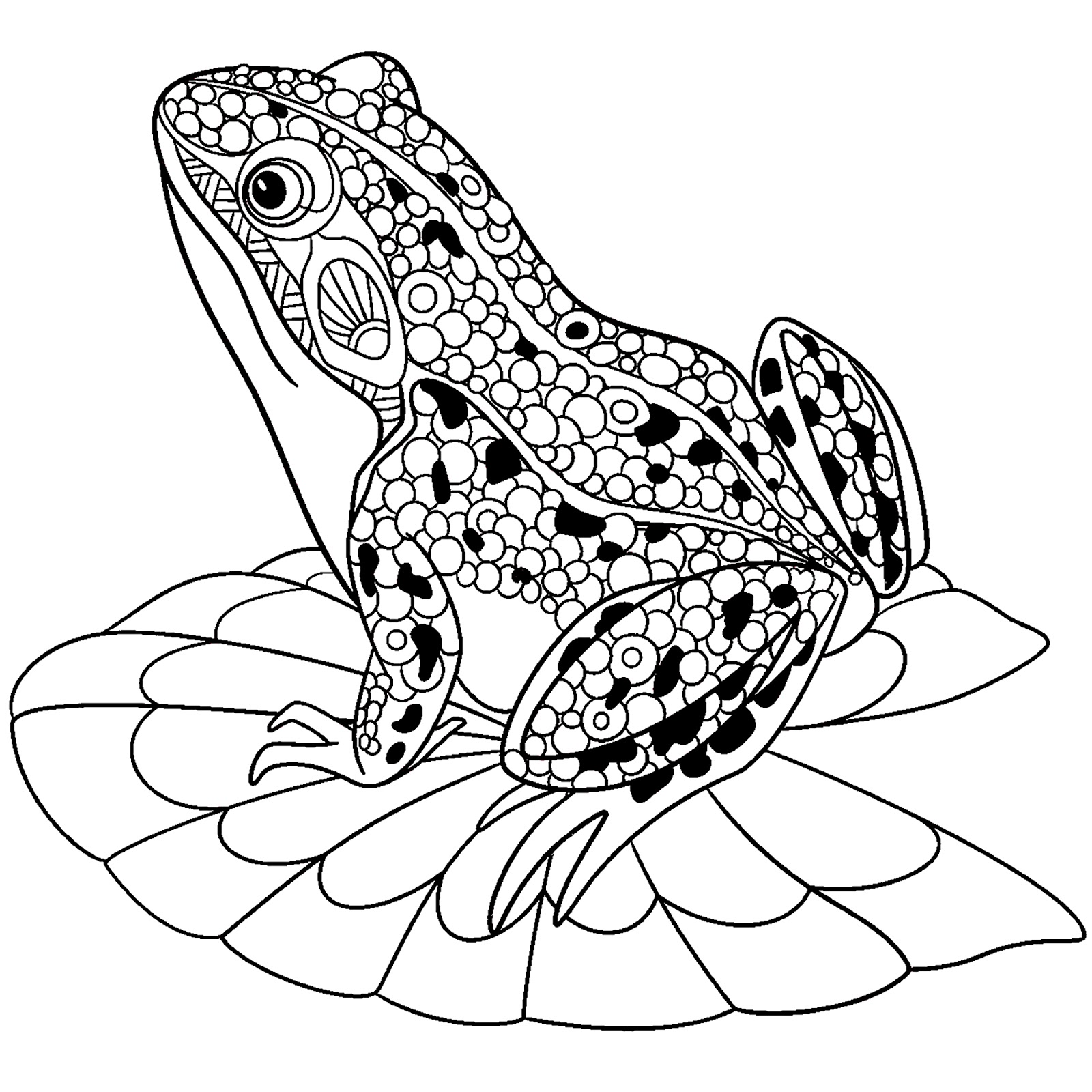 Tranh tô màu chú ếch được trang trí