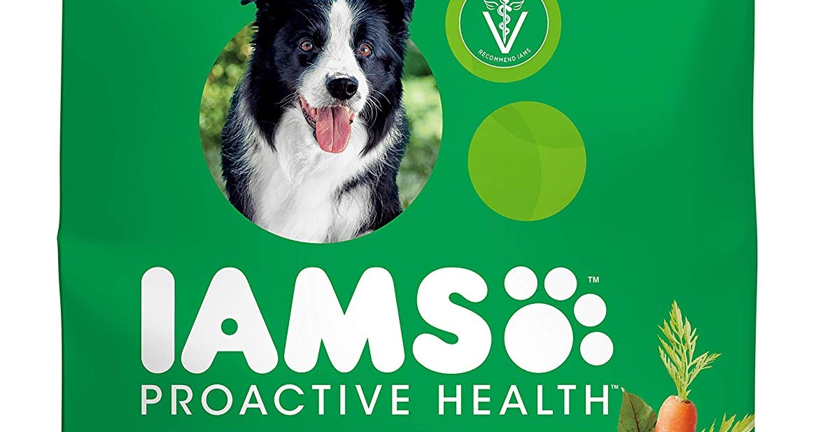 Best Pet Food Review