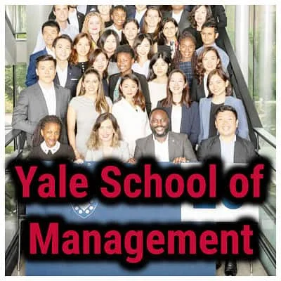 Cómo se desarrolla la Misión de Yale SOM en el Mundo real