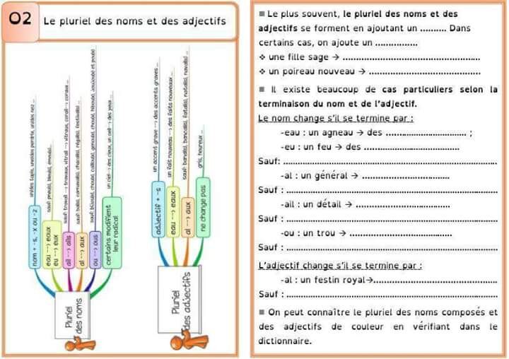 pluriel des noms et des adjectifs + exercice
