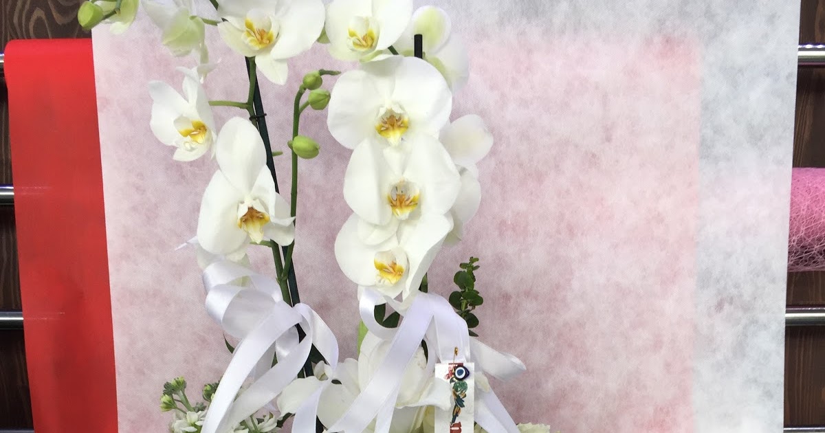 Çelenk Market: Beyaz orkideler beyaz lilyumlar en nadide çiçek