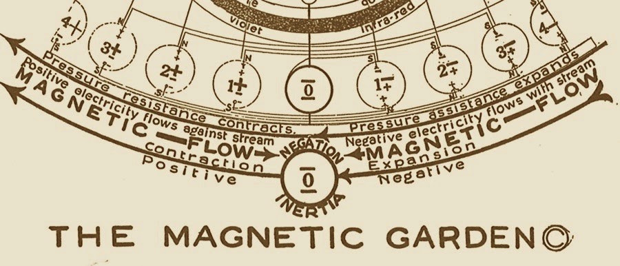 The Magnetic Garden