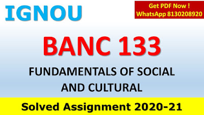 BANC 133 Solved Assignment 2020-21