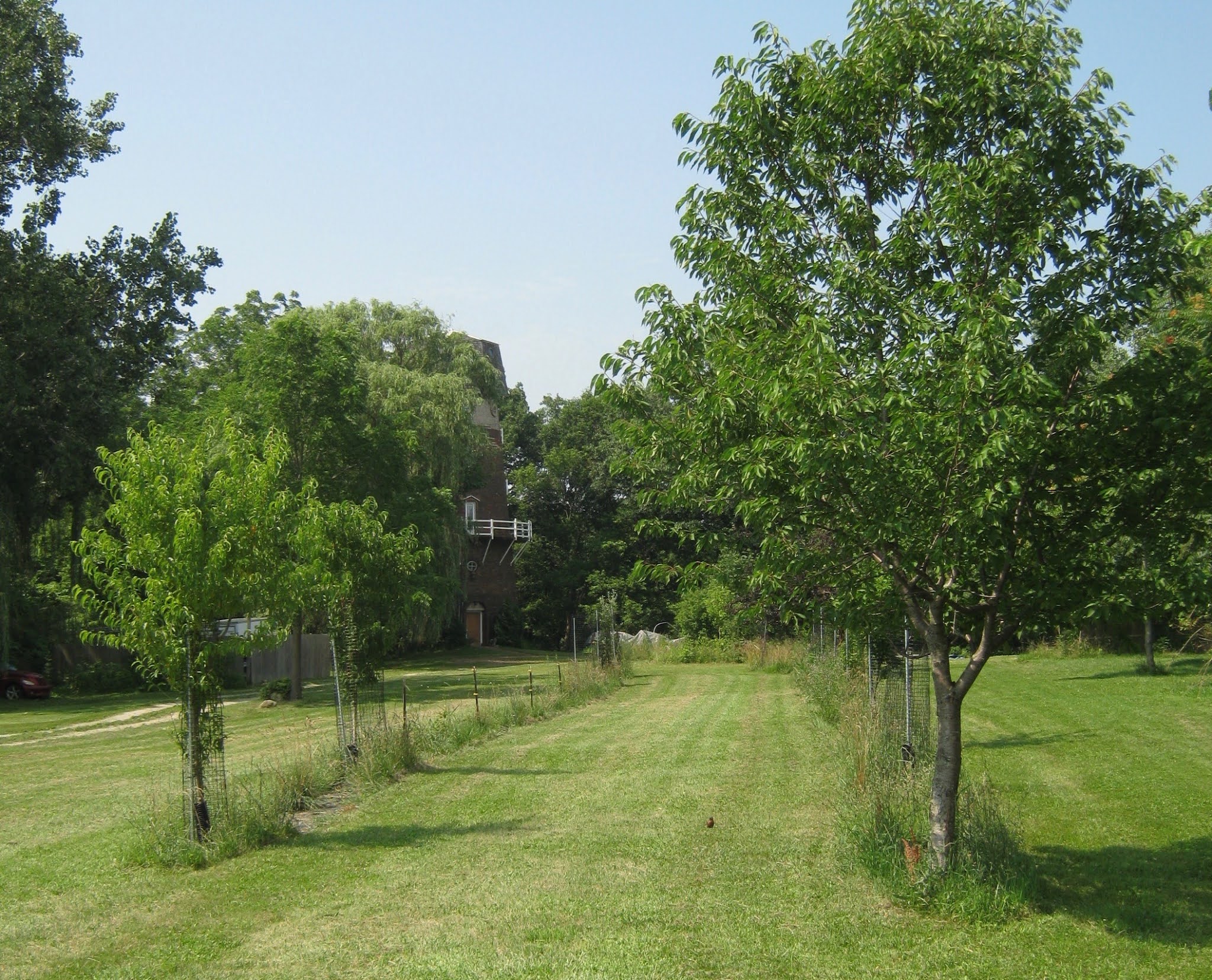 Brady's Bunch of Lorain County Nostalgia Own the Windmill on Kolbe Road