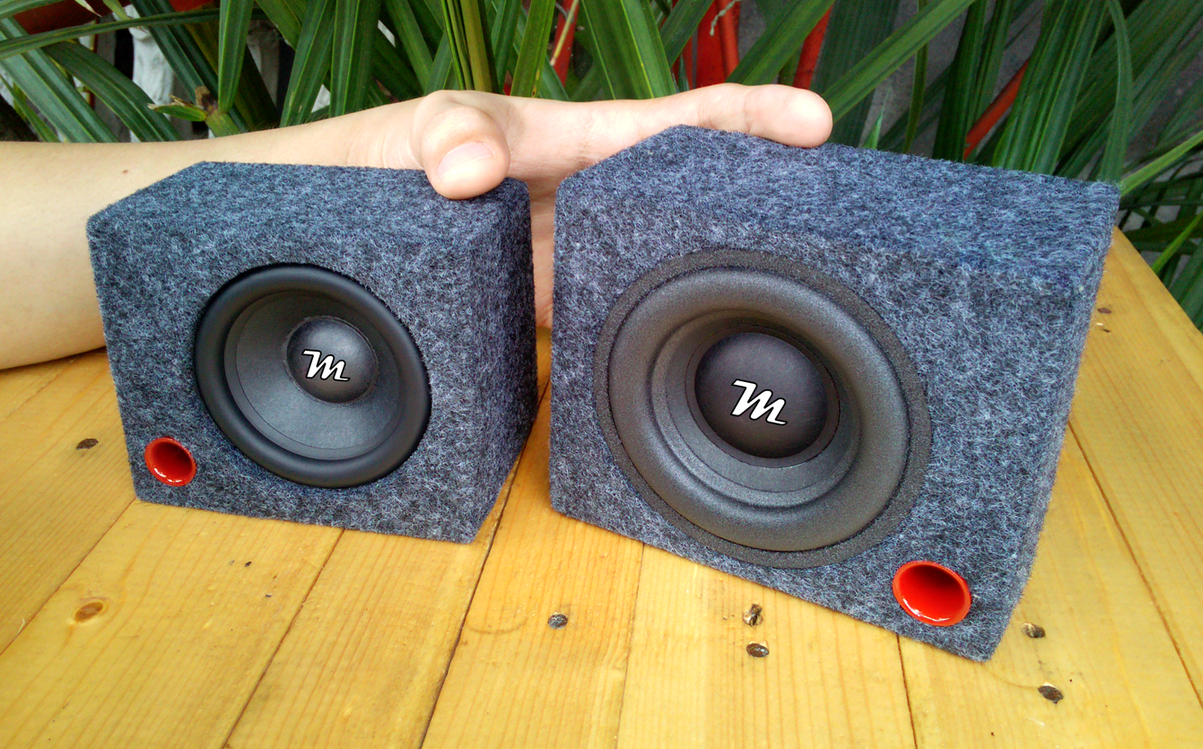 DIY Mini Subwoofer Mini Subwoofer Wild Bass Boosted