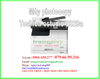 TBVP Trần Mai Vy