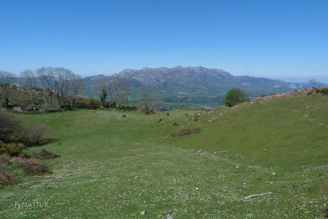 Majada La Bobia con El Sueve al Fondo - Piloña Majada La Bobia con El Sueve al Fondo - Piloña