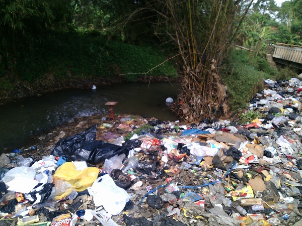 Mahluk Yang Disebut "Manusia" Suka Merusak Lingkungan | SAYA SUKA BUNGA