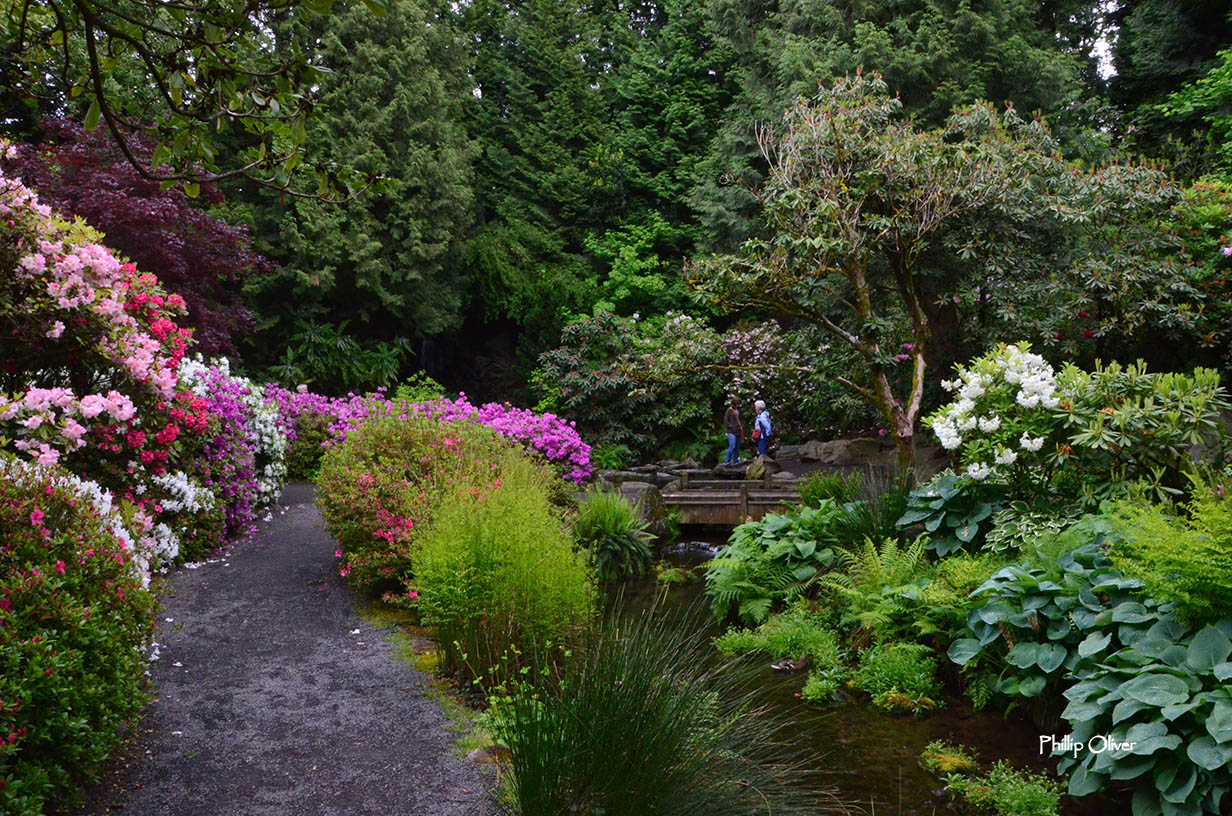 Crystal Springs Rhododendron Garden (Portland, Oregon)