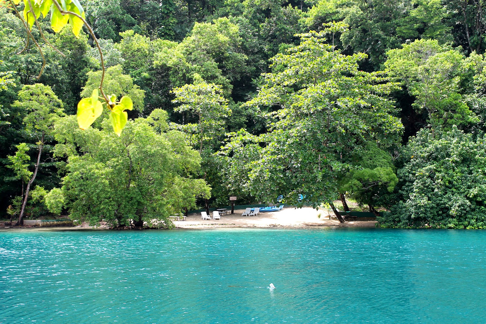 Wendy In Jamaica Blue Lagoon