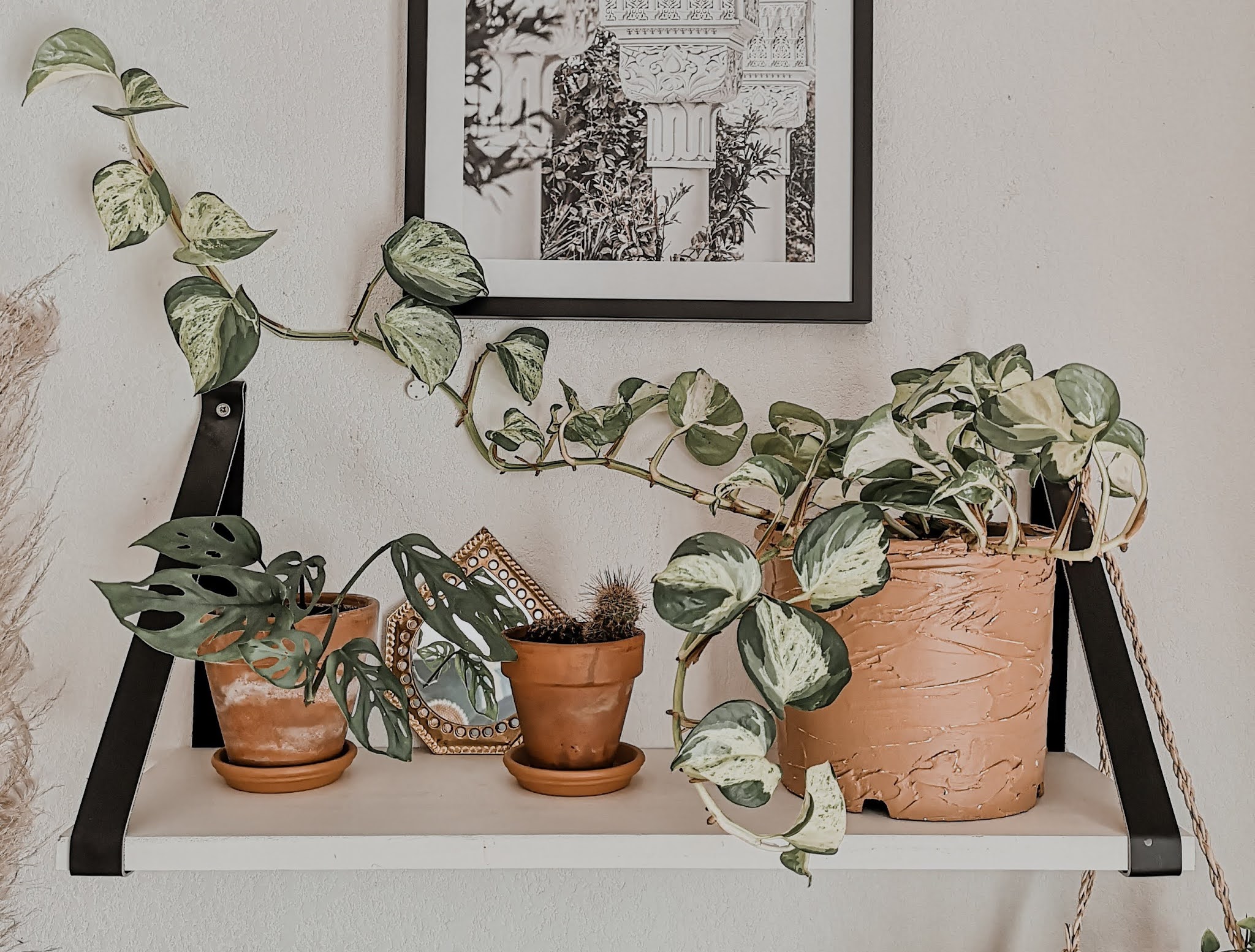 Comment peindre ses pots de fleurs en plastique pour les