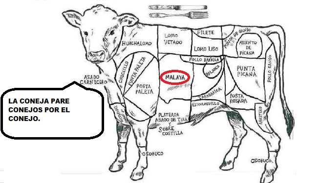 Cazuela Puchero: CULTURA GENERAL, PARTES DE UNA VACA. SABIDURIA POPULAR.