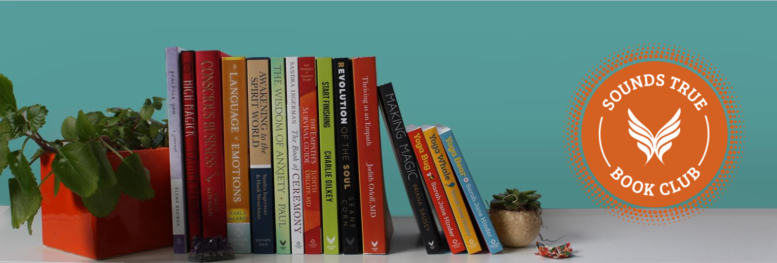 A Healing Space... reflections on love, meaning, and the aliveness of immediate experience Free