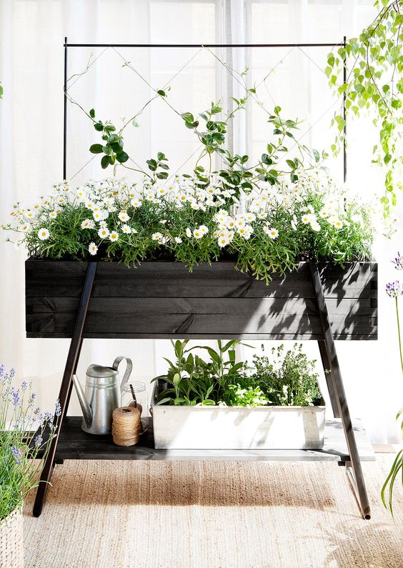 Ideas para tener un jardín interior en casa | Decoración