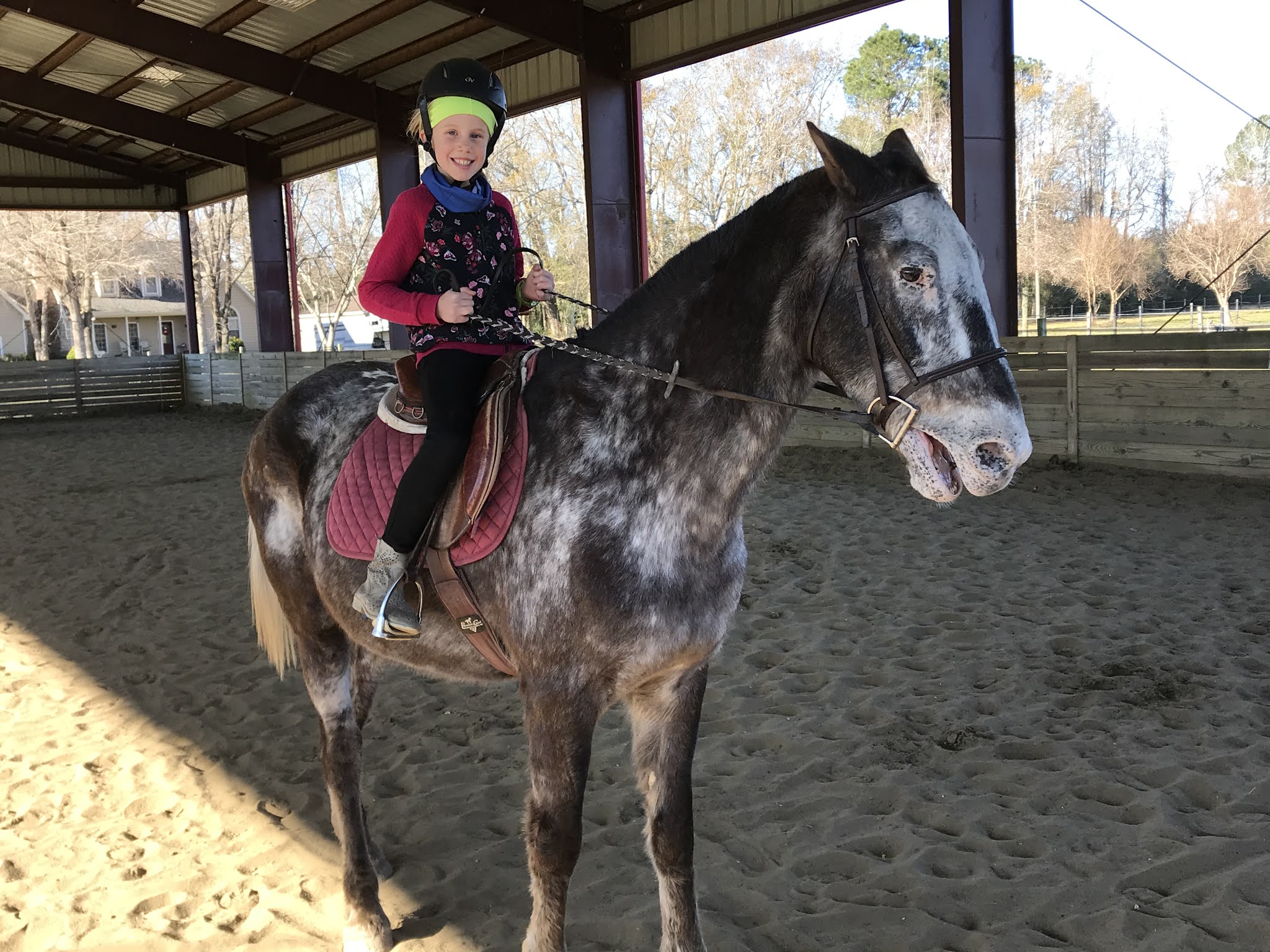 Meg's Memo ELLA's horse riding lesson