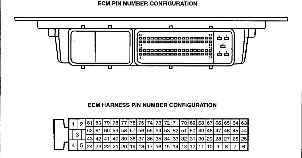 [DIAGRAM] Wiring Diagram Ecu Hyundai Accent - MYDIAGRAM.ONLINE