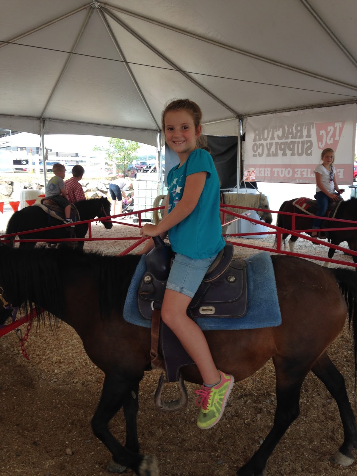 Nielsen Family Davis County Fair!