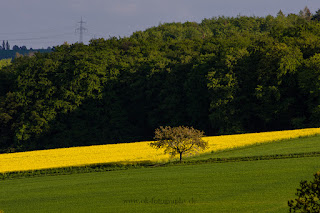 Landschaftsfotografie Naturfotografie Weserbergland