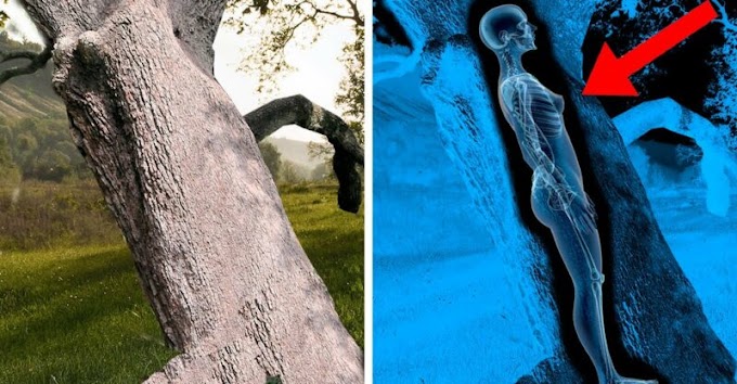  10 Most UNEXPLAINED Recent Archaeological Discoveries!   