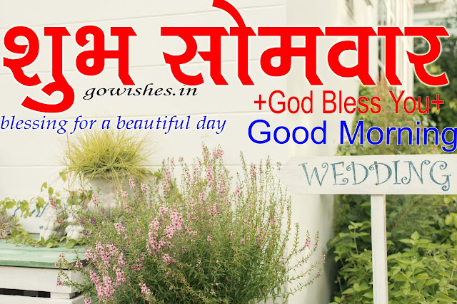 Good Morning Monday Quotes Pictures,Photos,Images,Gif Good Morning Monday Quotes Pictures,Photos,Images,Gif