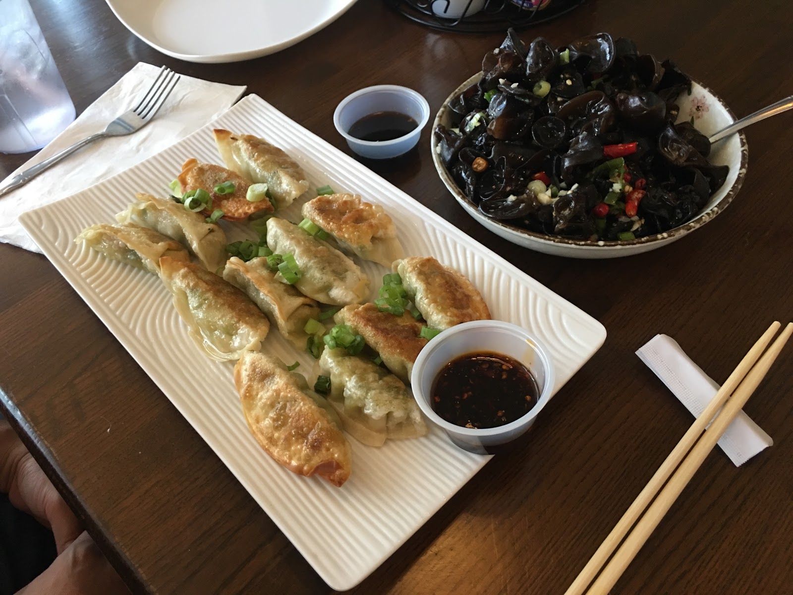 Houston Food Explorers Dumplings Chinese Style at Trendy Dumplings