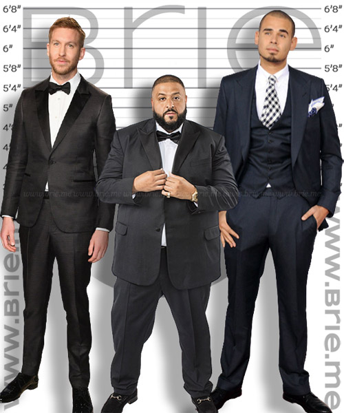 Calvin Harris Height - Brie