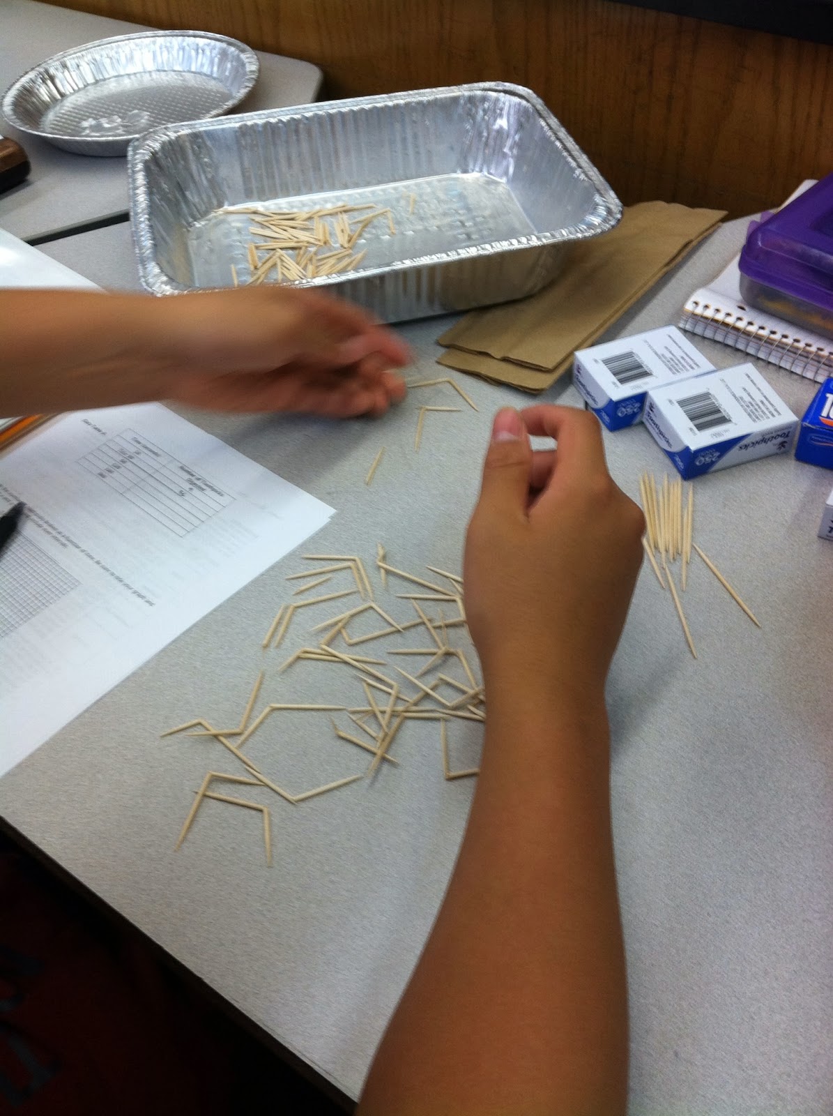 Margarita's Biology 20132014 Toothpickase Activity