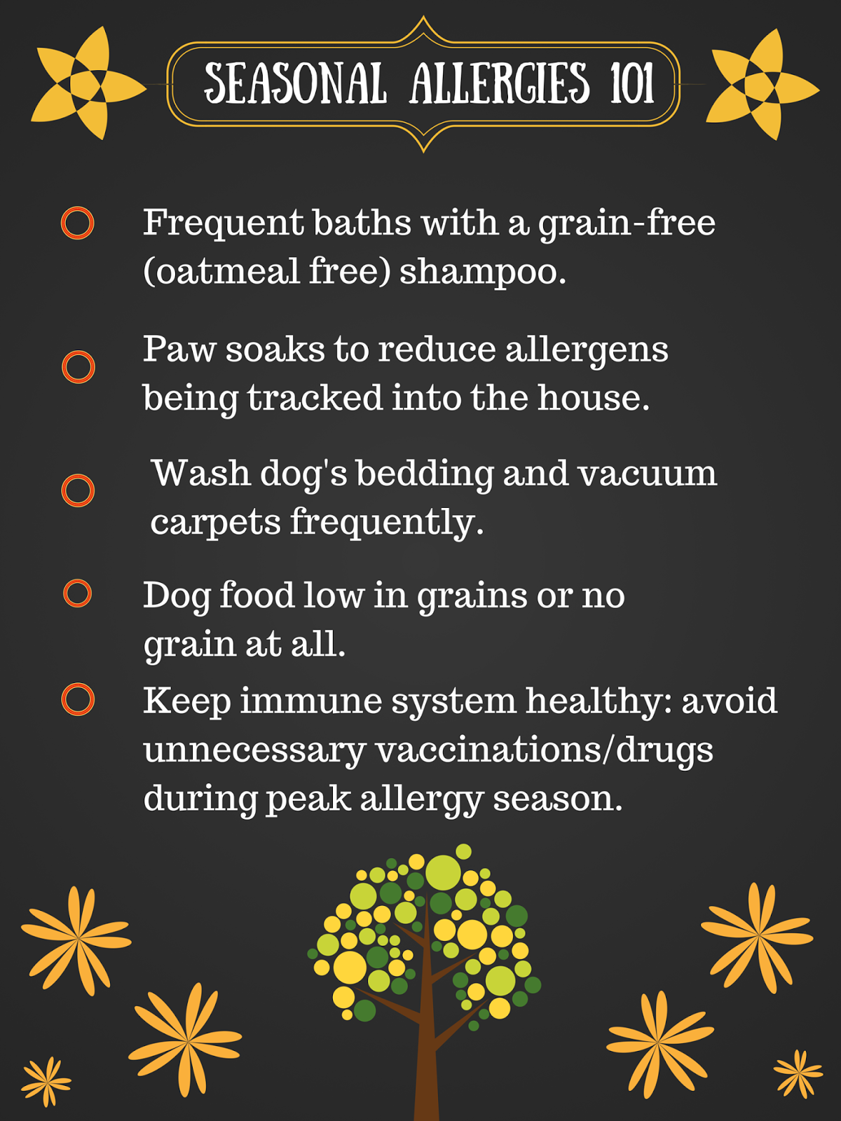 Bark City Doggy Daycare Seasonal Allergies in Dogs