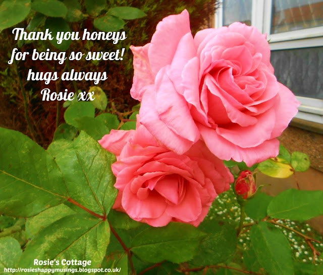 Thank you Honeys for being so sweet, hugs always, Rosie xx