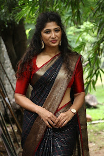 Roshini Prakash Saree Stills From Jada Movie Audio Launch