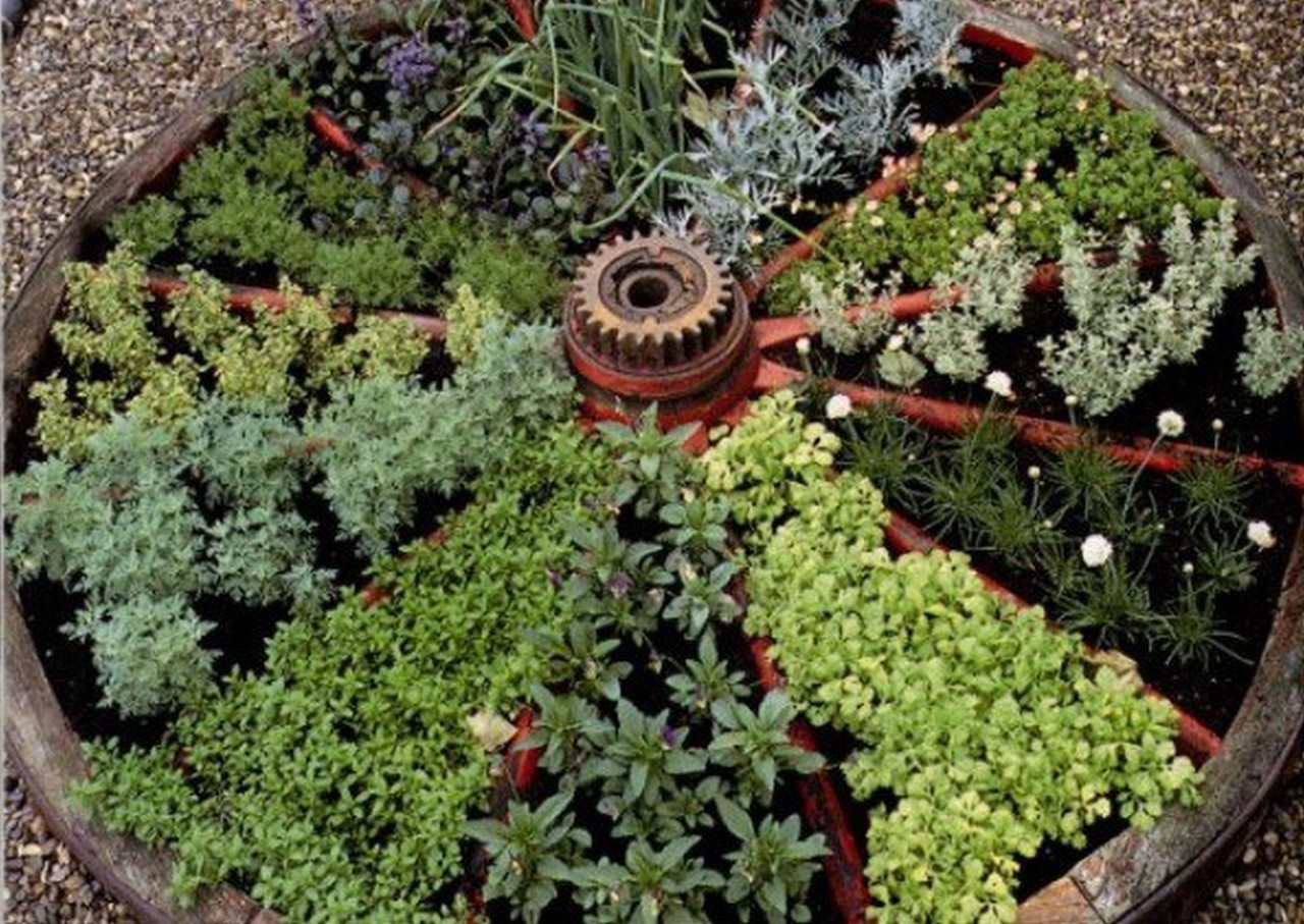  Herbs  For Every Size Garden  Edible Garden  Inspiration