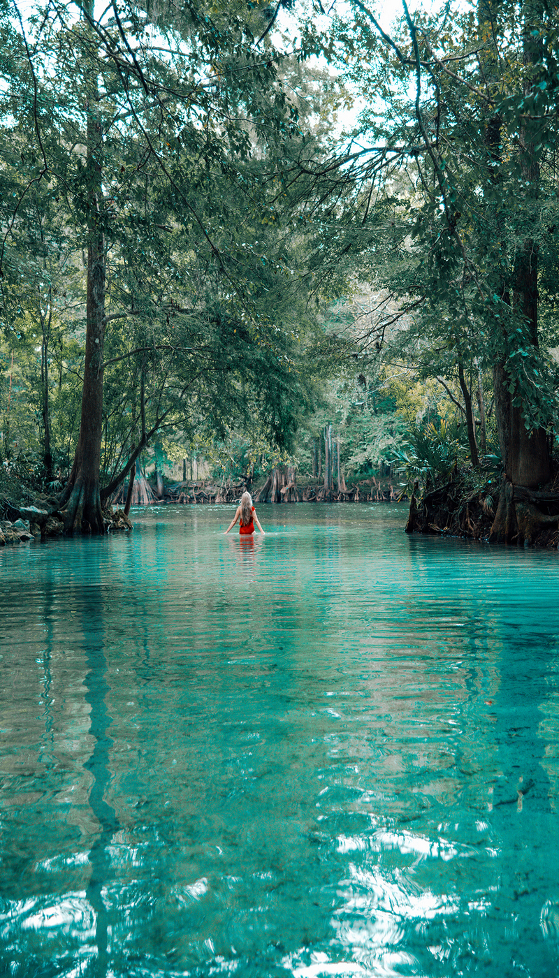 Ginnie Springs The clearest springs in Florida