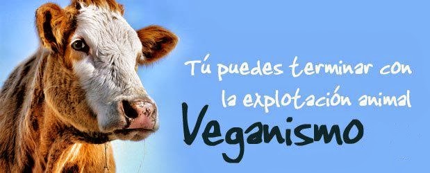 ¿Por qué Vegano?